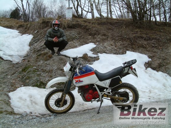 1986 Honda XL 600 LM photo